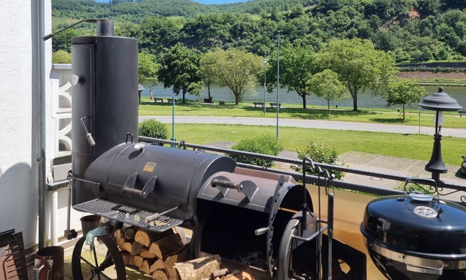 Blick aus der Ferienwohnung auf die Mosel
